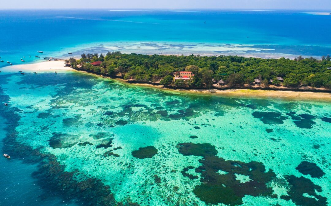 Top 5 des activités à ne pas manquer pendant ta mission en Tanzanie